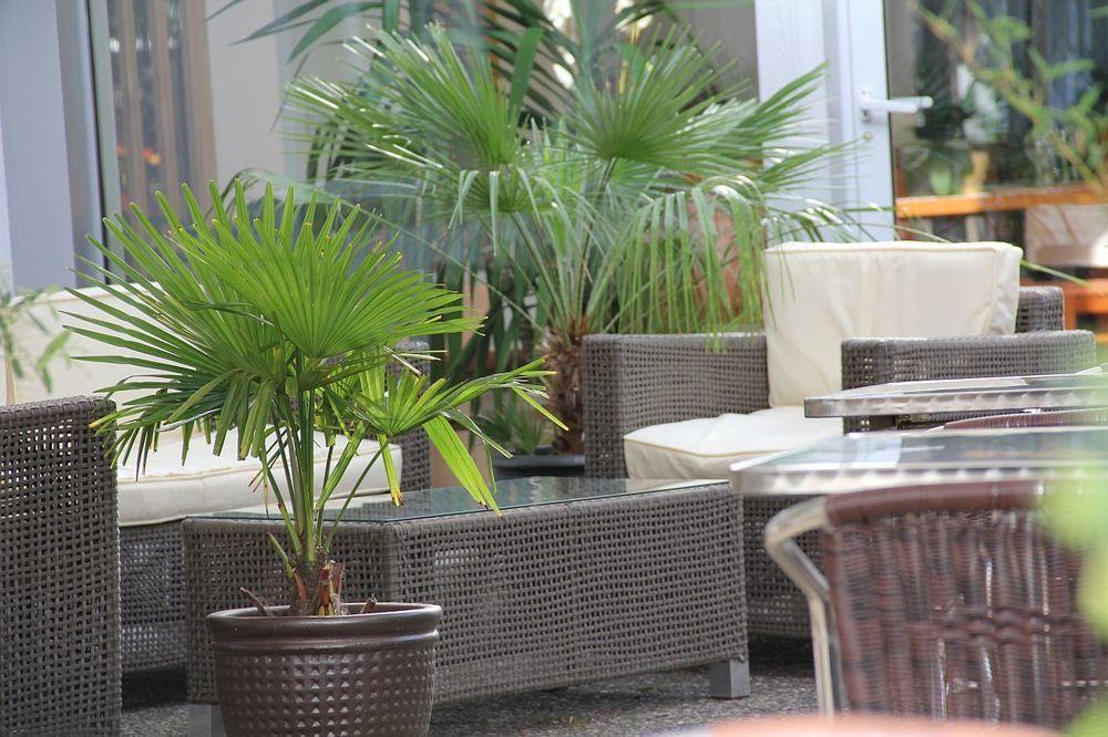 Eden Hotel Und Restaurant Ilanz/Glion Exterior photo